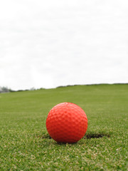 Orange ball on the green