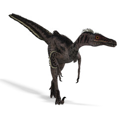 Dinosaur Velociraptor. 3D rendering with clipping path and