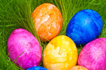 farbige Ostereier mit Tautropfen versteckt im Gras