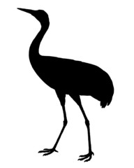 Kranich Silhouette