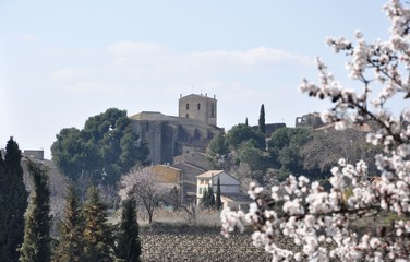 vaucluse 6