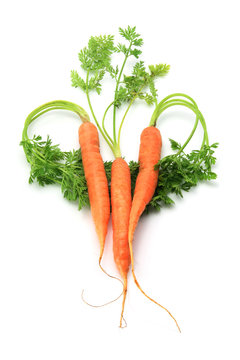 Carrots Arranged in Heart Shape