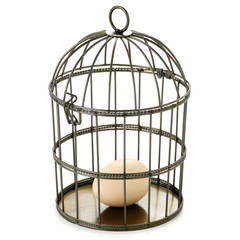 An egg in bird cage