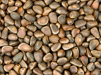 Natural background of of cedar nuts
