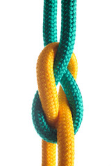 Rope with marine knot on white background. series of photos iso - 30787132