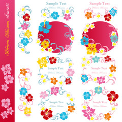 Hibiscus blossoms design elements set