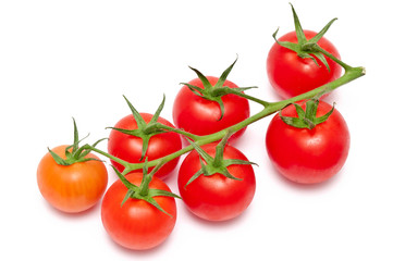 Tomatenzweig