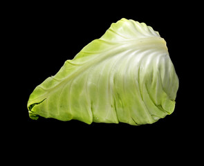 pointed cabbage isolated on black