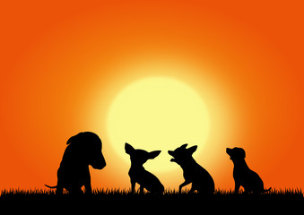 Obraz premium Dogs on the sunset background, vector image