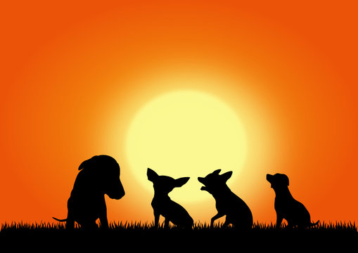 Dogs on the sunset background, vector image
