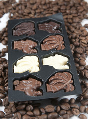 Chocolate and the coffee seeds