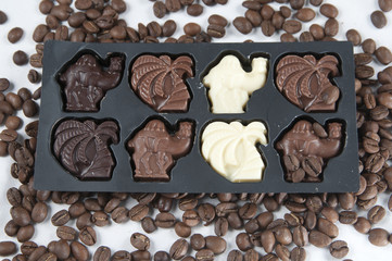 Chocolate and the coffee seeds