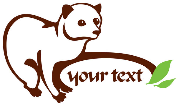 civet