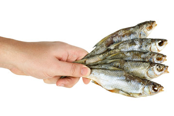 Hand hold few salted dried fishes
