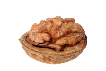 walnut