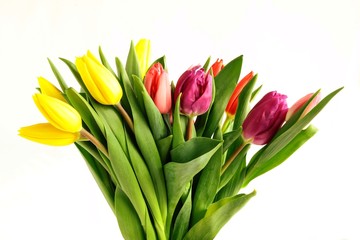 posy of tulips