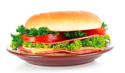 hamburger isolated on white