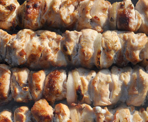 Shishkebab, barbecue