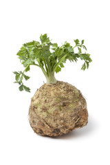 Fresh celery root with leaves