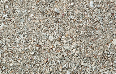 Coral sand texture