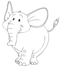 Elefant, Zoo, dick, Afrika, Indien, Zirkus