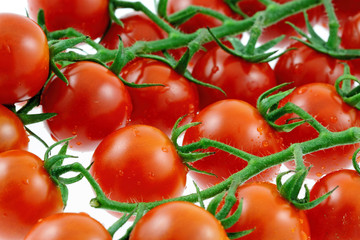 grappes de tomates cerises