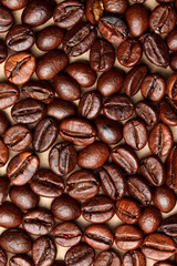 coffee beans