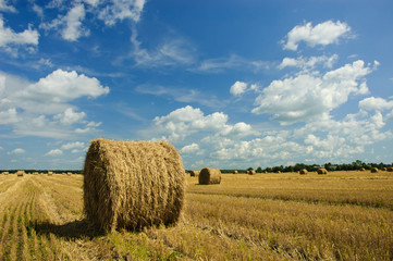 Harvested field with bales of hay