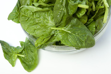 spinach isolated on white background