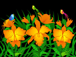 Background with beautiful orchids and birds