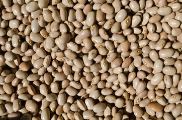 Light brown beans - healthy fiber food