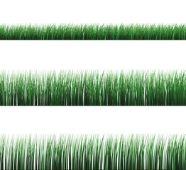 Isolated grass