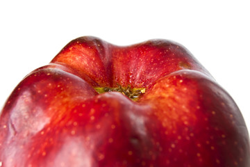 Red apple. macro