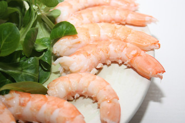 crevettes