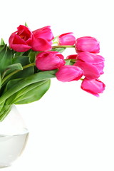 Bouquet of pink tulips in a glass vase.