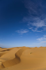Fototapeta na wymiar Sahara, Merzouga
