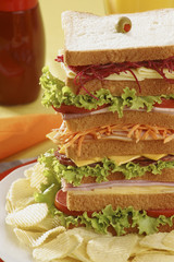 Tall Sandwich