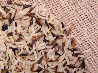 Pile of wild rice on canvas
