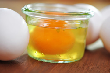 Eier