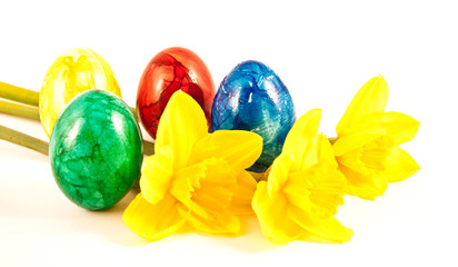 Fototapeta na wymiar Easter painted eggs and daffidol flowers.