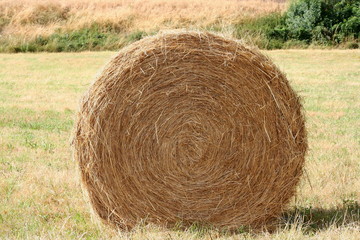 haystack