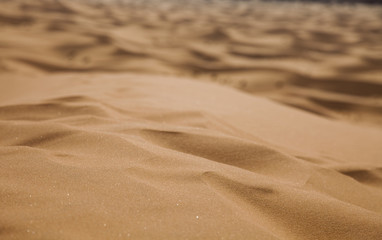 Desert sand