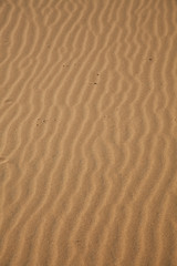 Sand background