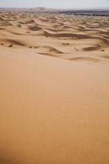 Desert sand