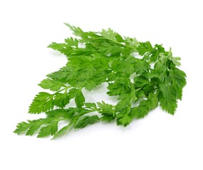 Kräuter in der Küche, Kerbel