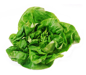 fresh green salad on white background