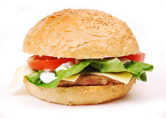 hamburger with vegetables