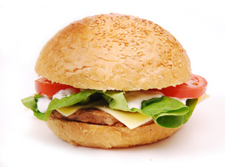hamburger with vegetables