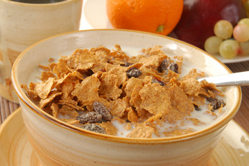 Continental Breakfast