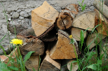 firewood near the wall